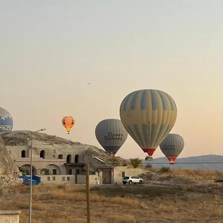 Otel Alpha Stone House 4*