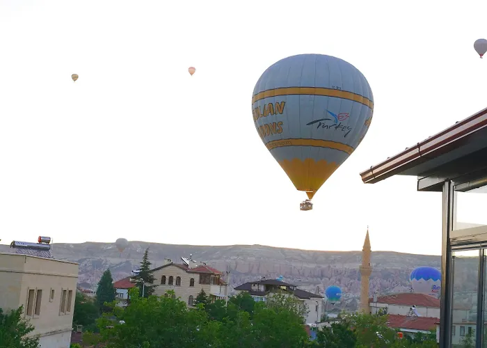 Hotel Alpha Stone House *