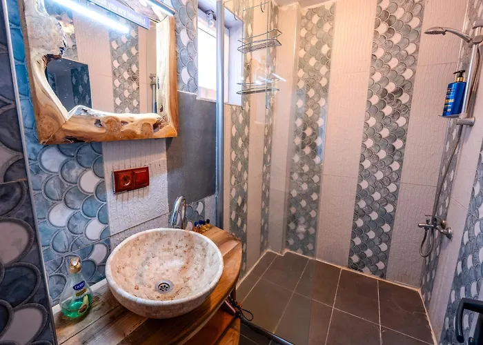 Hotel Alpha Stone House *